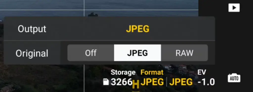 DJI Mini 4 Pro> selection of the file format